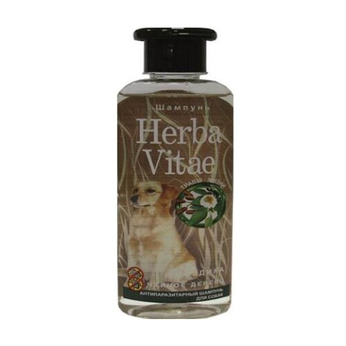 Herba Vitae     250