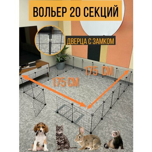 ���� ������ ������ ��� ����� ������ ����� ������ �������� 20 ������ � �������, ������ ������