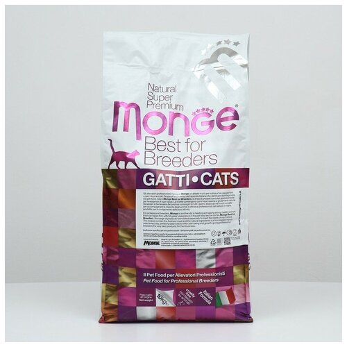    Monge Cat Hairball  ,    , 10    -     , -,   