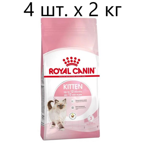      Royal Canin Kitten, 4 .  2    -     , -,   