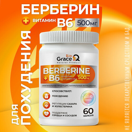 ���� �������� ��� ��������� 500 ��, 60 ������, ������ ������