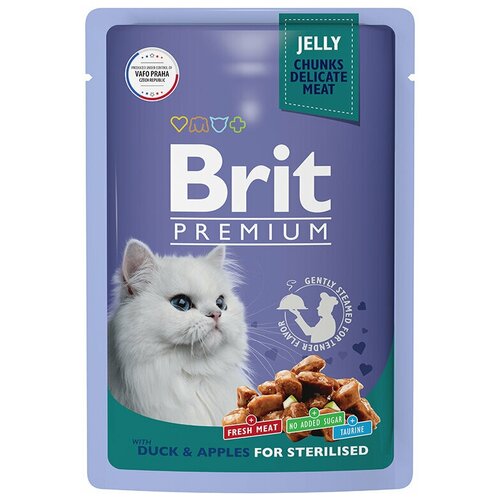   Brit Premium          85, 4   -     , -,   