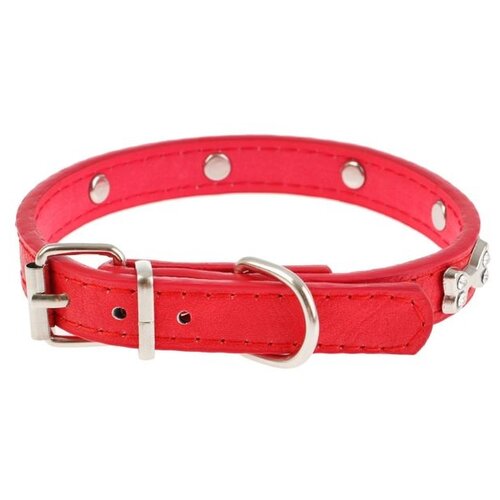 ���� ��� ����������� ������������� ������� ����� �������� � ������, ����� �������� 38 ��, ������ ��� 27-33 ��, 1 ��., �������, XXL, ������ ������