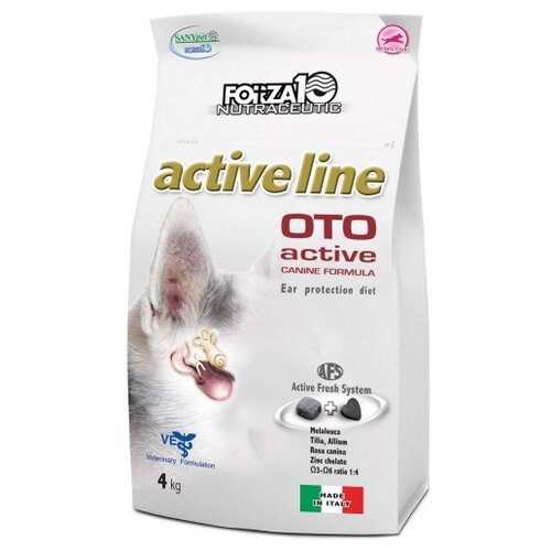      Forza10 Oto Active,      1 .  1 .  4000    -     , -  