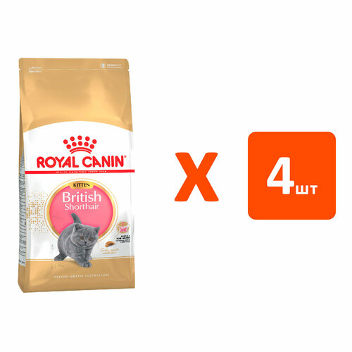  ROYAL CANIN BRITISH SHORTHAIR KITTEN 34     2   4    -     , -  