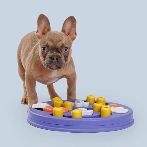 ���� ������� ��� ����� ����������� Puzzle Thimbles, ������� 29 ��, ������ ������