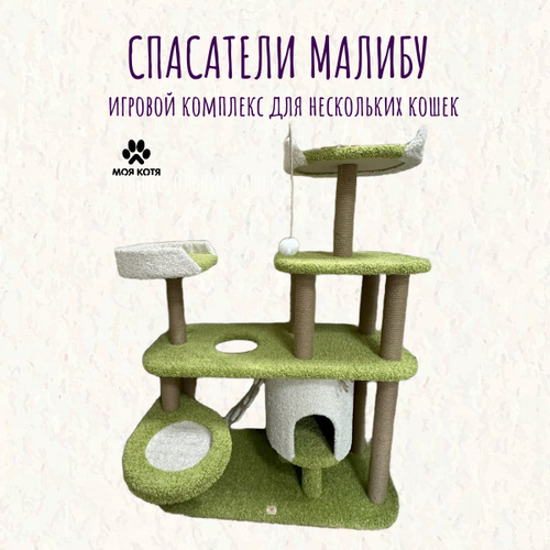 ���� ������� ��������-���������� ��� ����� ��� ���� 