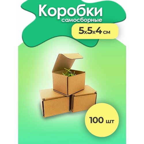 ���� ������� ��� �������� ���������, ������ ������