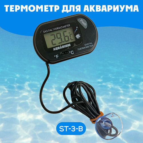 ���� ��������� ��� ���������/ ��������� �������� / �������� ������/ ST-3 ���� ������, ������ ������