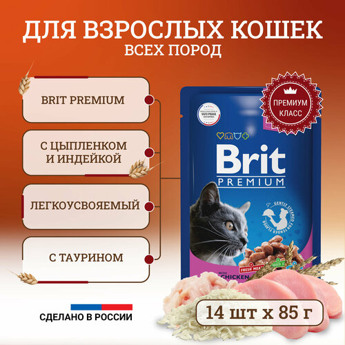  Brit Premium     ,    ,   ,   - 85   14    -     , -  