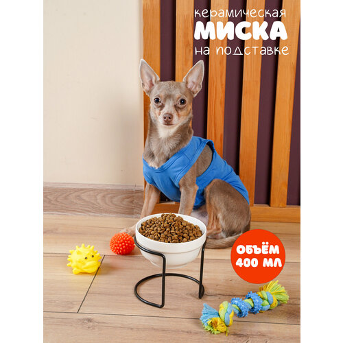 ���� ����� ������������ �� ��������� ��� ����� � ����� ������ �����, ������ ������