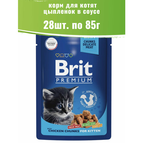  Brit Premium 28  85   ,      -     , -  