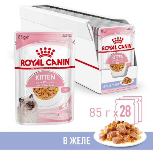      Royal Canin Kitten Jelly ( )    12 , 28*0,085    -     , -  