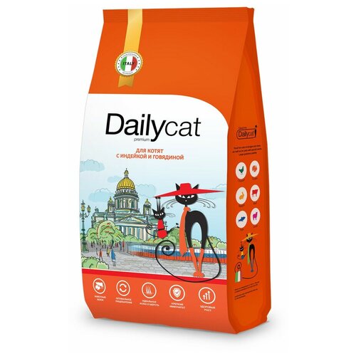  Dailycat Casual         - 1,5    -     , -,   