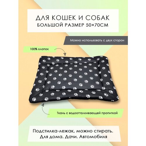 ���� ���������-����� ��� �����/����� 