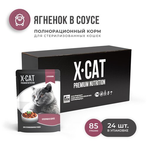 X-CAT        ,  , 24  85   -     , -,   