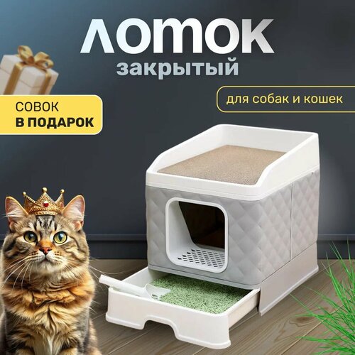 ���� ������ �����-����� ��� ����� � �����, ������ ������