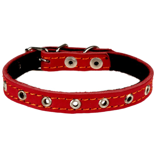 ���� ��� ����������� ������������� ������� ����� �� ��������� 3674978/3674979/7060685, ����� �������� 37 ��, ������ ��� 21-31 ��, �������, S, ������ ������