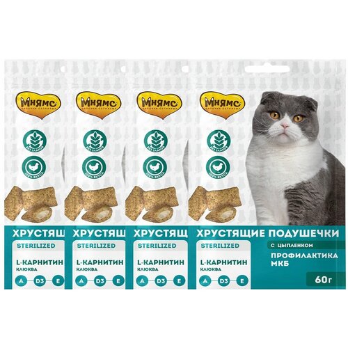 ���� ����� ��������� ��������� ��� ��������������� ����� � ��������� � ������� 