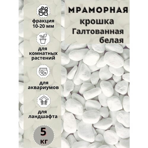 ���� ��������� ������ ����� ����������� 10-20 ������� (5 ��) ����� ��� ���������, ������ ������