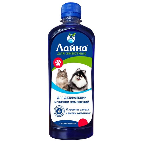 ���� ����� �����������, ����������, 0.5 �, ������ ������