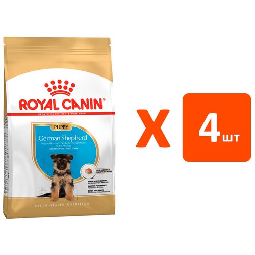  ROYAL CANIN GERMAN SHEPHERD PUPPY     (3   4 )   -     , -  