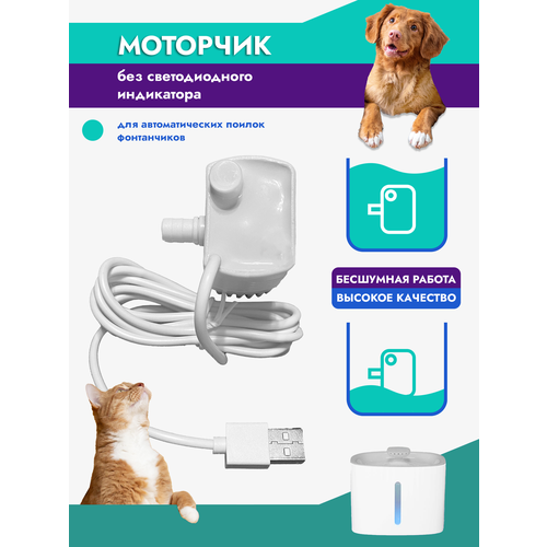 ���� ����� ��� ������ (��� ���������), ������ ������