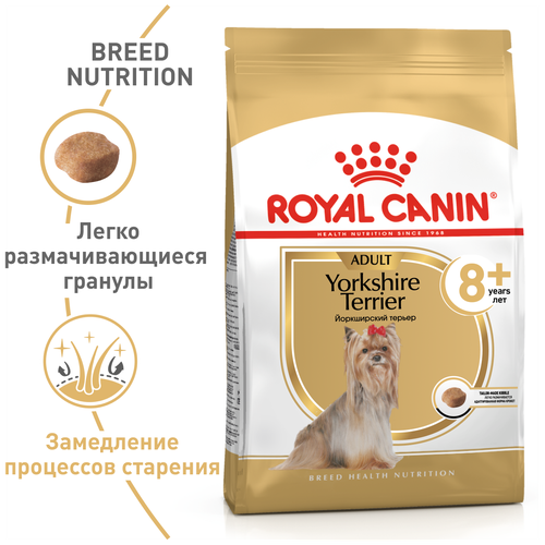  Royal Canin RC  -   8  (Yorkshire Ageing) 12600050R0 | Yorkshire Terrier Adult 8+ 0,5  42208 (2 )   -     , -,   