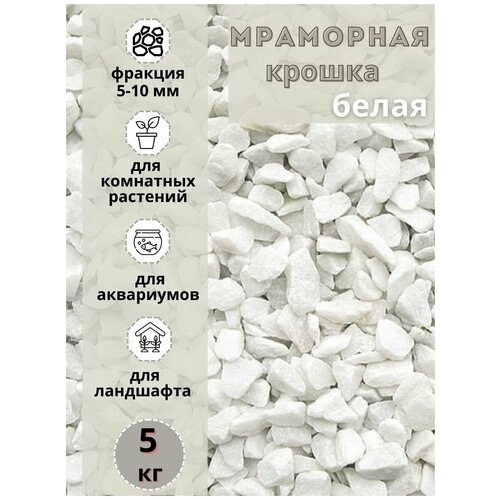 ���� ��������� ������ ����� 5-10 ������� (5 ��) ����� ��� ���������/����������, ������ ������