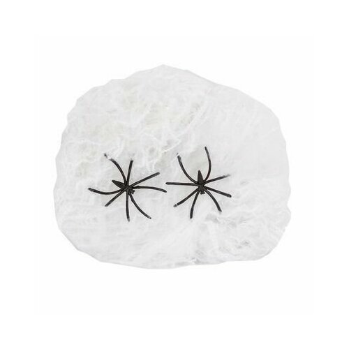 ���� ������������ ������������� ����� ������� �� �������� � ��������, ������������ ���������, ������ ������