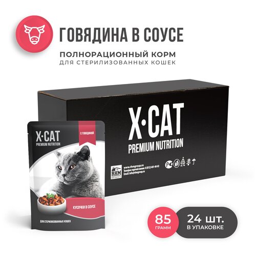  X-CAT  c      ,  , 24   85   -     , -,   