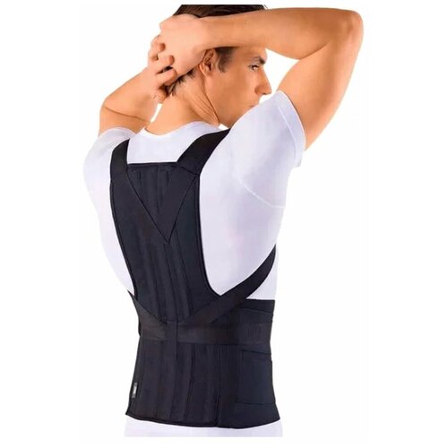 ���� ������ �����-���������-���������� ORTO ���-110 (L2, �������), ������ ������