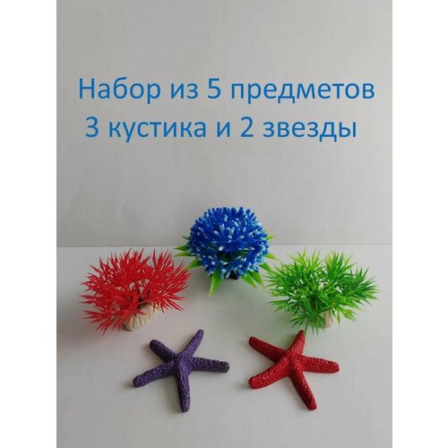 ���� ��������� ��� ���������, ������ ������