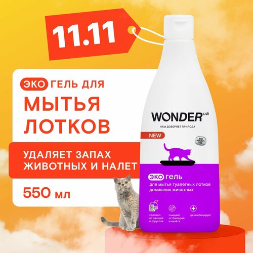 ���� ��� �������� ��� ������ � ����������� ������ �������� �������� Wonder Lab, ������ ������