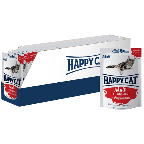      Happy Cat  ,   24 .  100  (  )   -     , -  