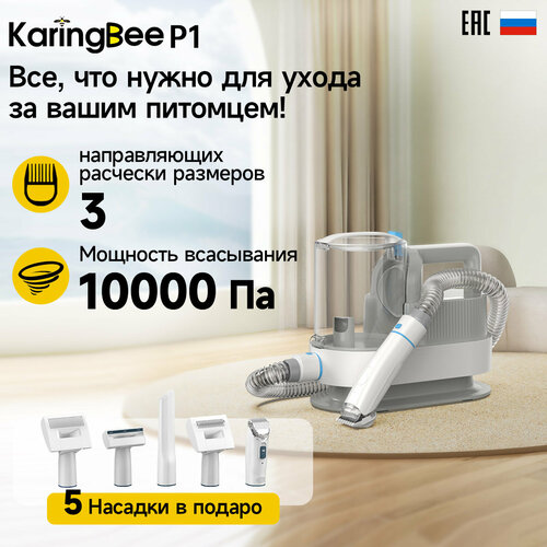  5  1 - KaringBee P1,        , , , 4  ,   ,      -     , -  