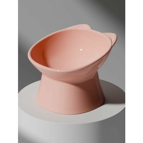 ���� ����� ��� �����, ������ ������