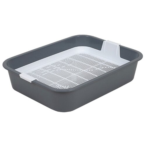 ���� ����� ��� �������� ������������ �����, � ������, �����, ������ ������