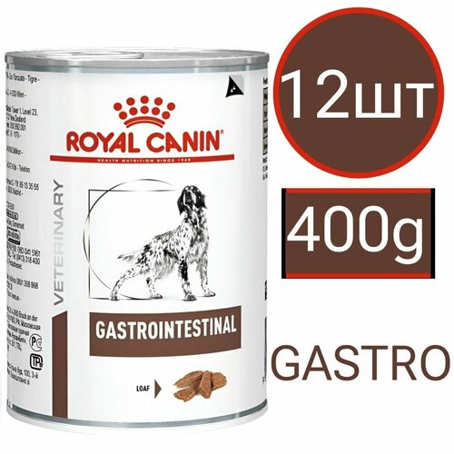   Royal Canin Gastrointestinal     -  (12  400)   -     , -  