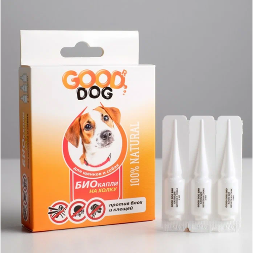  Good Dog            (3*2)   -     , -,   