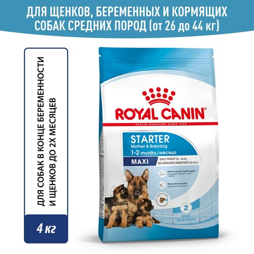        2- ,    , Royal Canin Maxi Starter ( ) , 4    -     , -  