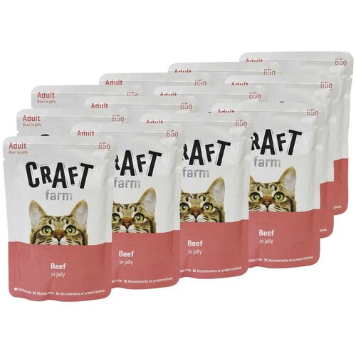     CRAFT FARM     85 ( - 12 )   -     , -,   