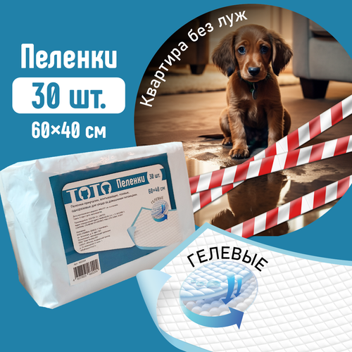 ���� ������� ��� �����, ����� � ������ �������� 60�40, 30 ��, �����������, �����������, � ����������� ����, ������ ������