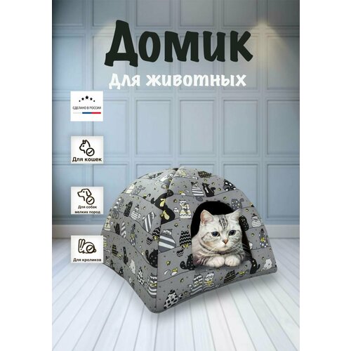 ���� ����� ��� ����� � ����� ������ ����� 07, ������ ������