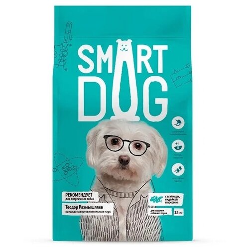  Smart Dog -     , ,  12    -     , -,   