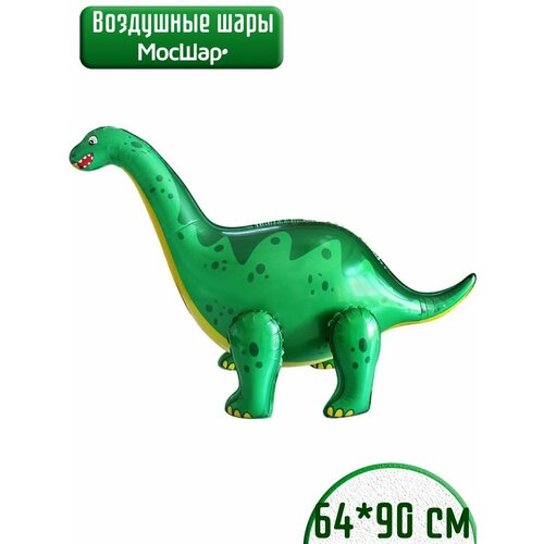 ���� ��������� ���� ��������, ������� ������ ��������, ������ ������