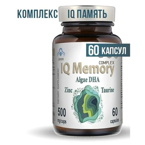   Memory          ,    , 60    -     , -  