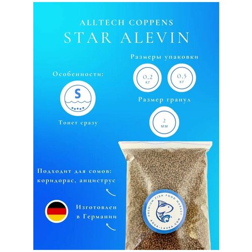  STAR ALEVIN 2  -       