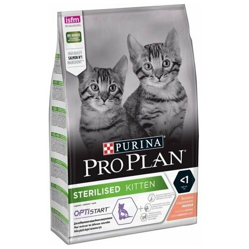    Pro Plan   , , 3 , 1 .   -     , -,   