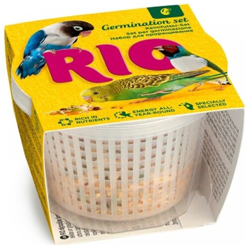  RIO        25  (36531, 25 )   -     , -  